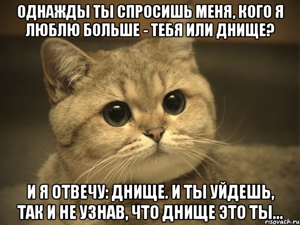 однажды ты спросишь меня, кого я люблю больше - тебя или днище? и я отвечу: днище. и ты уйдешь, так и не узнав, что днище это ты..., Мем Пидрила ебаная котик