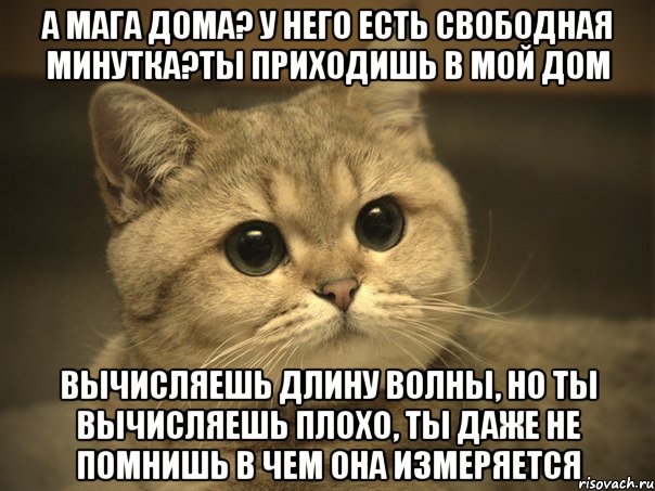 а мага дома? у него есть свободная минутка?ты приходишь в мой дом вычисляешь длину волны, но ты вычисляешь плохо, ты даже не помнишь в чем она измеряется, Мем Пидрила ебаная котик