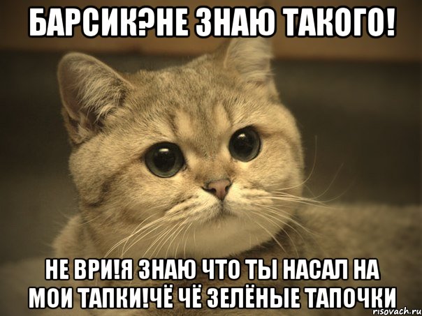 барсик?не знаю такого! не ври!я знаю что ты насал на мои тапки!чё чё зелёные тапочки, Мем Пидрила ебаная котик