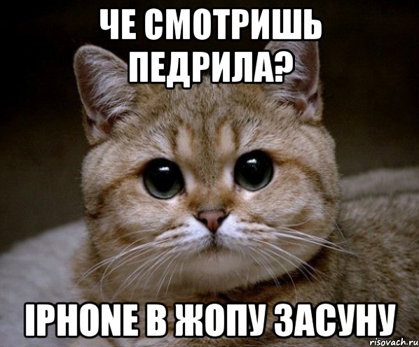 че смотришь педрила? iphone в жопу засуну, Мем Пидрила Ебаная