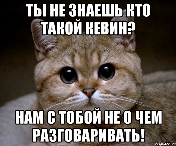 ты не знаешь кто такой кевин? нам с тобой не о чем разговаривать!, Мем Пидрила Ебаная