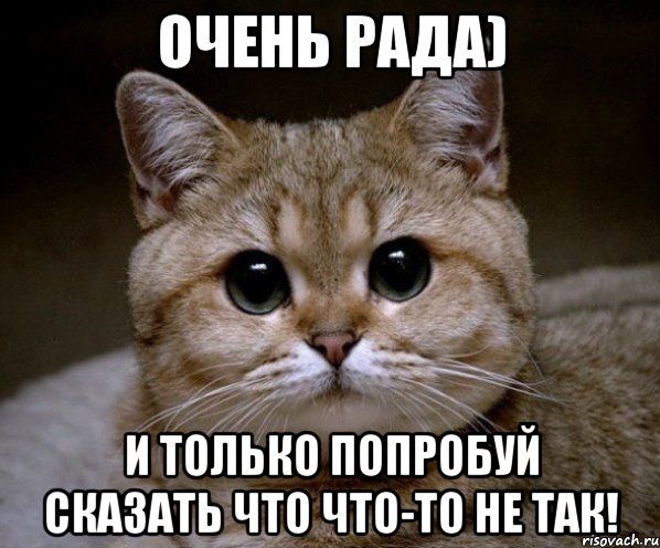 очень рада) и только попробуй сказать что что-то не так!, Мем Пидрила Ебаная