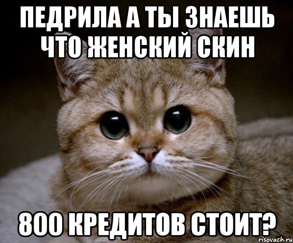 педрила а ты знаешь что женский скин 800 кредитов стоит?, Мем Пидрила Ебаная