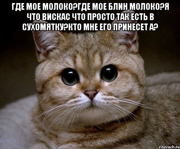 где мое молоко?где мое блин молоко?я что вискас что просто так есть в сухомятку?кто мне его принесет а? , Мем Пидрила Ебаная