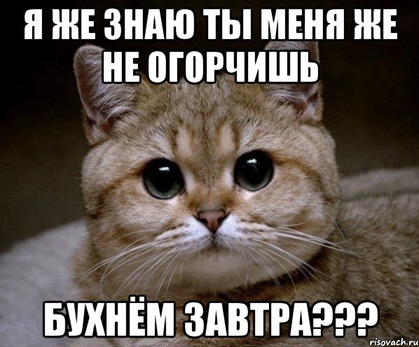 я же знаю ты меня же не огорчишь бухнём завтра???