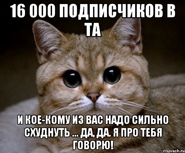 16 000 подписчиков в та и кое-кому из вас надо сильно схуднуть ... да, да. я про тебя говорю!, Мем Пидрила Ебаная