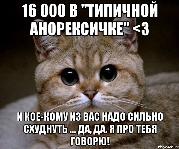 16 000 в "типичной анорексичке" <3 и кое-кому из вас надо сильно схуднуть ... да, да. я про тебя говорю!, Мем Пидрила Ебаная