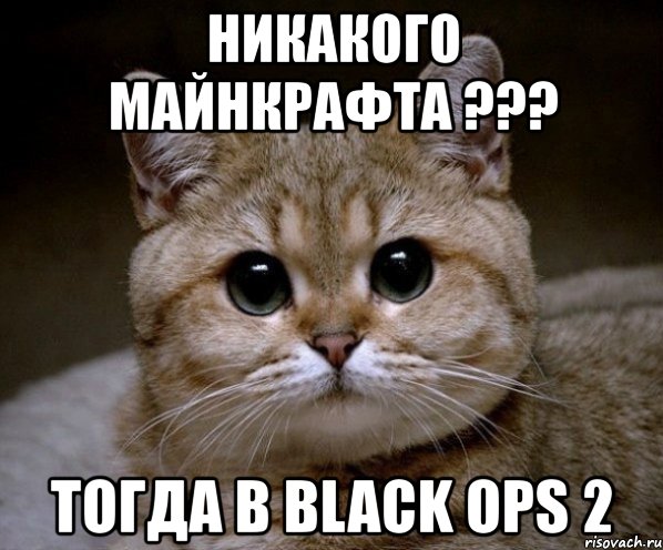 никакого майнкрафта ??? тогда в black ops 2, Мем Пидрила Ебаная