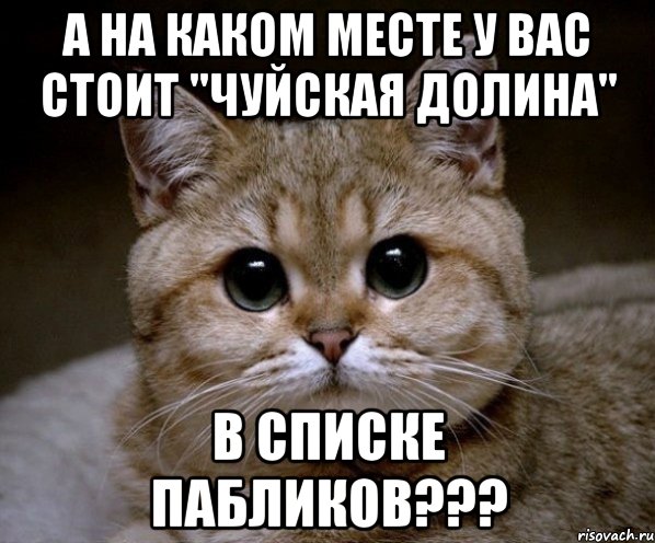 а на каком месте у вас стоит "чуйская долина" в списке пабликов???, Мем Пидрила Ебаная