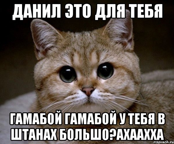 данил это для тебя гамабой гамабой у тебя в штанах большо?ахаахха, Мем Пидрила Ебаная