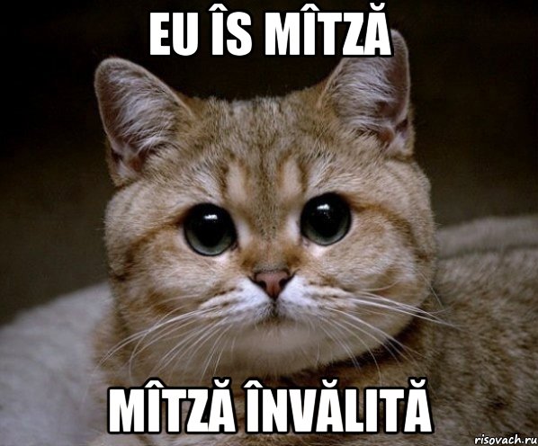 eu îs mîtză mîtză învălită