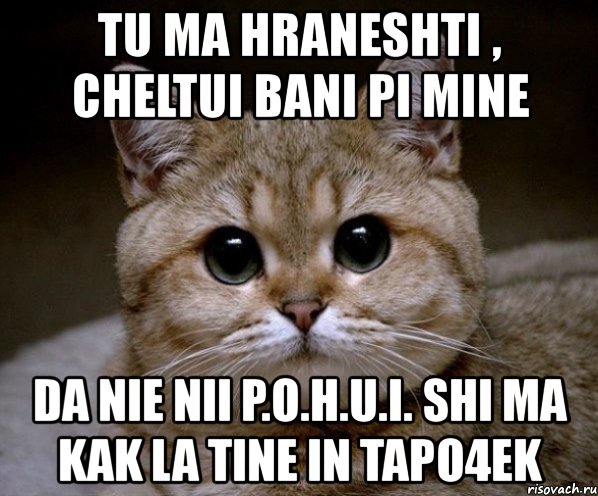 tu ma hraneshti , cheltui bani pi mine da nie nii p.o.h.u.i. shi ma kak la tine in tapo4ek