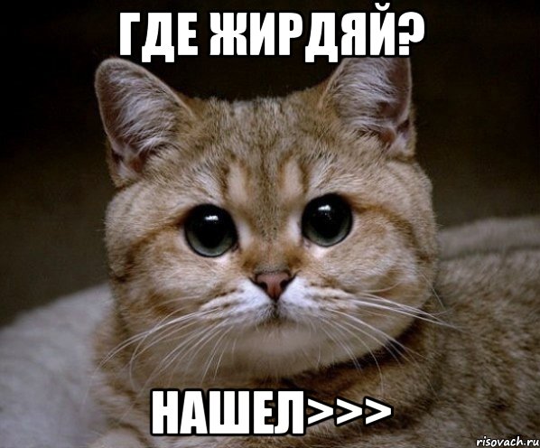 где жирдяй? нашел>>>