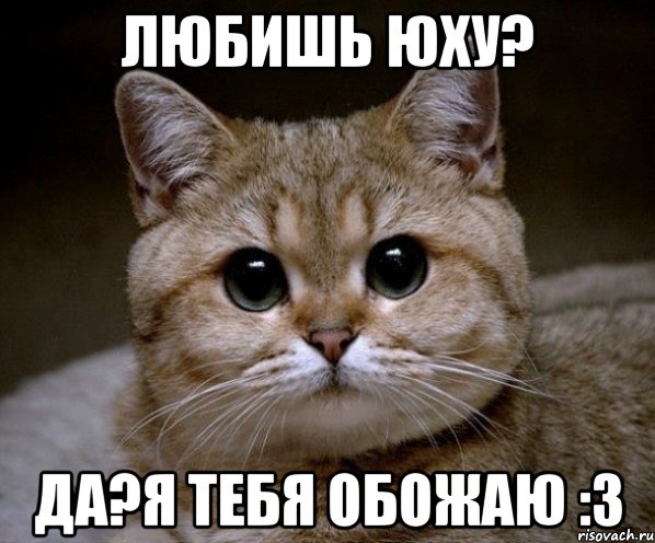 любишь юху? да?я тебя обожаю :3