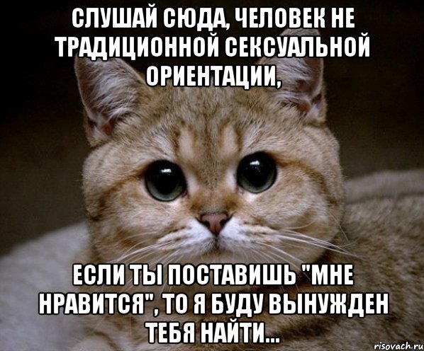 слушай сюда, человек не традиционной сексуальной ориентации, если ты поставишь "мне нравится", то я буду вынужден тебя найти..., Мем Пидрила Ебаная