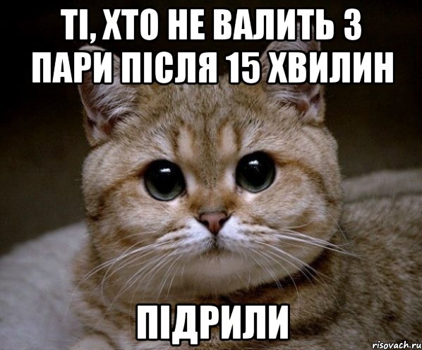 ті, хто не валить з пари після 15 хвилин підрили, Мем Пидрила Ебаная