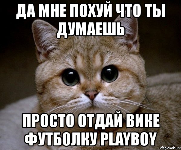 да мне похуй что ты думаешь просто отдай вике футболку playboy, Мем Пидрила Ебаная