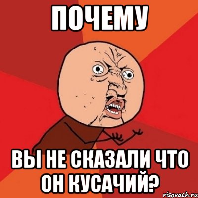 почему вы не сказали что он кусачий?, Мем Почему