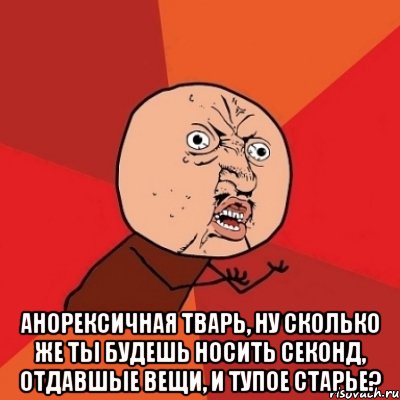  анорексичная тварь, ну сколько же ты будешь носить секонд, отдавшые вещи, и тупое старье?, Мем Почему