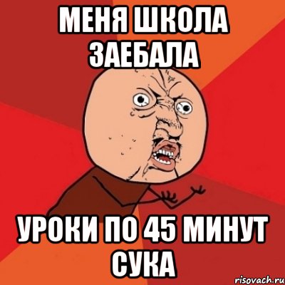 меня школа заебала уроки по 45 минут сука, Мем Почему