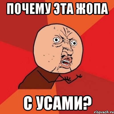 почему эта жопа с усами?, Мем Почему