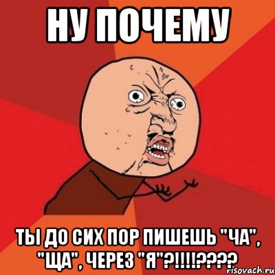 ну почему ты до сих пор пишешь "ча", "ща", через "я"?!!!???, Мем Почему