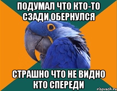 подумал что кто-то сзади обернулся страшно что не видно кто спереди, Мем Попугай параноик