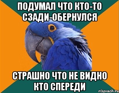 подумал что кто-то сзади-обернулся страшно что не видно кто спереди, Мем Попугай параноик