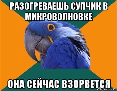 разогреваешь супчик в микроволновке она сейчас взорвется, Мем Попугай параноик