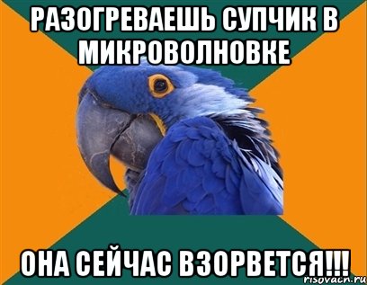 разогреваешь супчик в микроволновке она сейчас взорвется!!!, Мем Попугай параноик