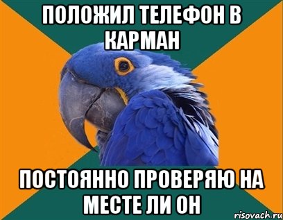 положил телефон в карман постоянно проверяю на месте ли он, Мем Попугай параноик