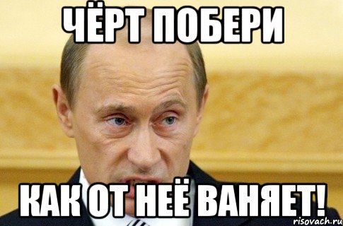 чёрт побери как от неё ваняет!, Мем путин