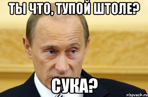 ты что, тупой штоле? сука?, Мем путин