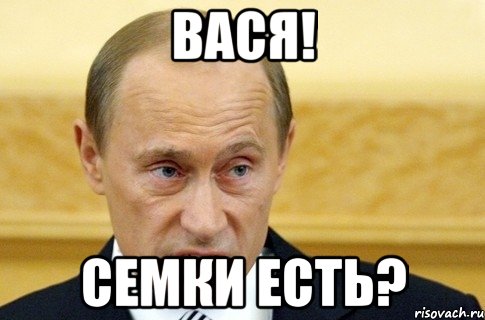 вася! семки есть?, Мем путин