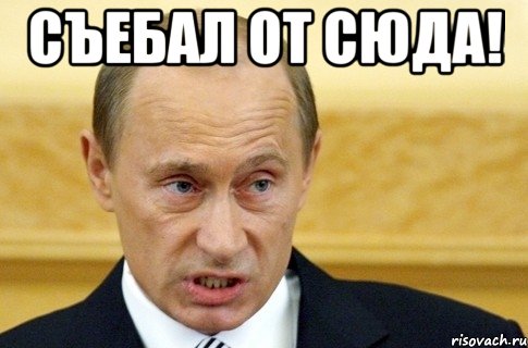 съебал от сюда! , Мем путин