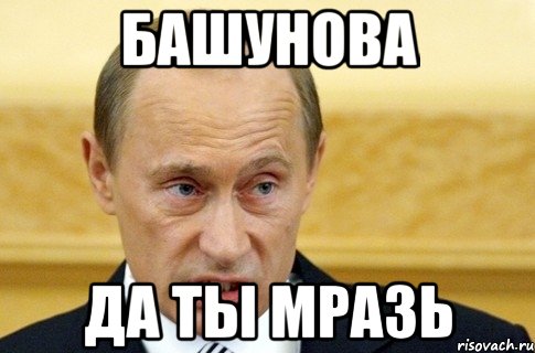 башунова да ты мразь, Мем путин