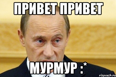 привет привет мурмур :*, Мем путин