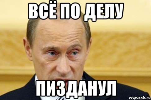 всё по делу пизданул, Мем путин