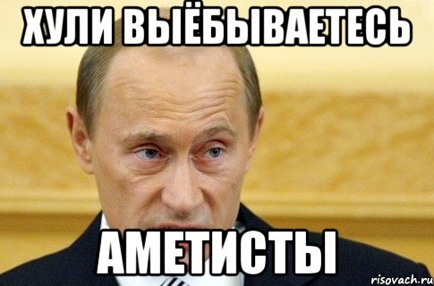 хули выёбываетесь аметисты, Мем путин