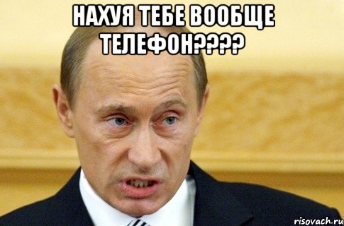 нахуя тебе вообще телефон??? , Мем путин