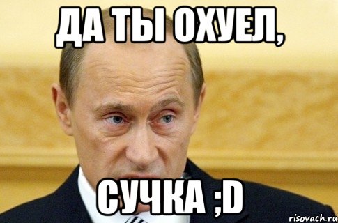 да ты охуел, сучка ;d, Мем путин