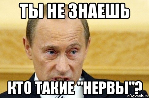 ты не знаешь кто такие "нервы"?, Мем путин