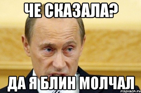 че сказала? да я блин молчал, Мем путин