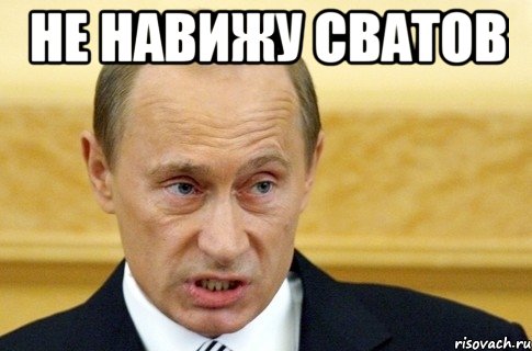 не навижу сватов , Мем путин