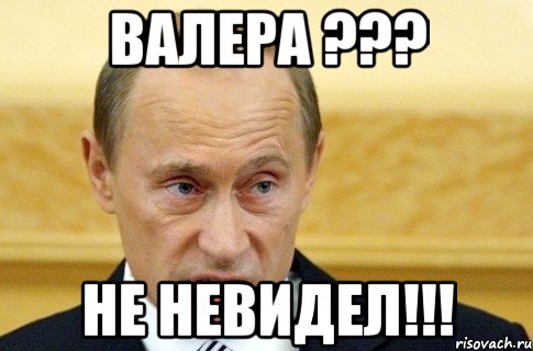 валера ??? не невидел!!!, Мем путин