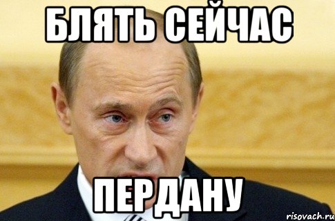 блять сейчас пердану, Мем путин