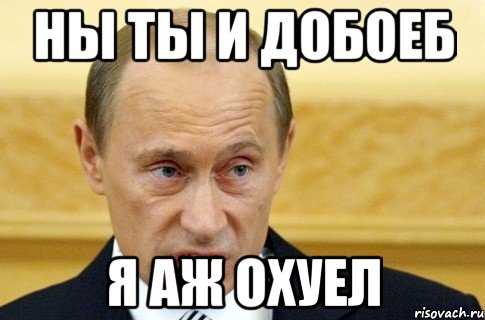 ны ты и добоеб я аж охуел, Мем путин