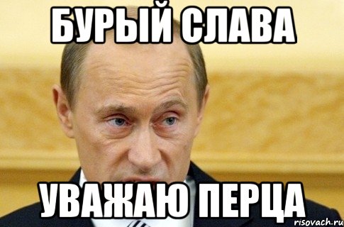 бурый слава уважаю перца, Мем путин