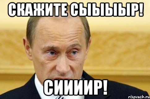 скажите сыыыыр! сиииир!, Мем путин