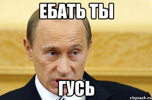 ебать ты гусь, Мем путин